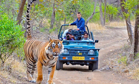Rajasthan Tour Packages